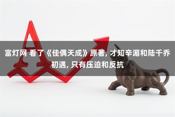 富灯网 看了《佳偶天成》原著, 才知辛湄和陆千乔初遇, 只有压迫和反抗