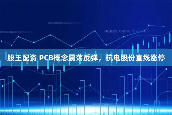 股王配资 PCB概念震荡反弹，杭电股份直线涨停