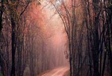 配资优秀股票配资门户:配资门户网是什么样的-医药股批量涨停！主力资金大举加仓！